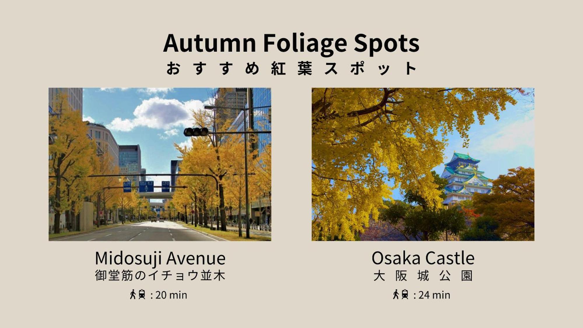 Nedoco Osaka West Lejlighedshotel Eksteriør billede